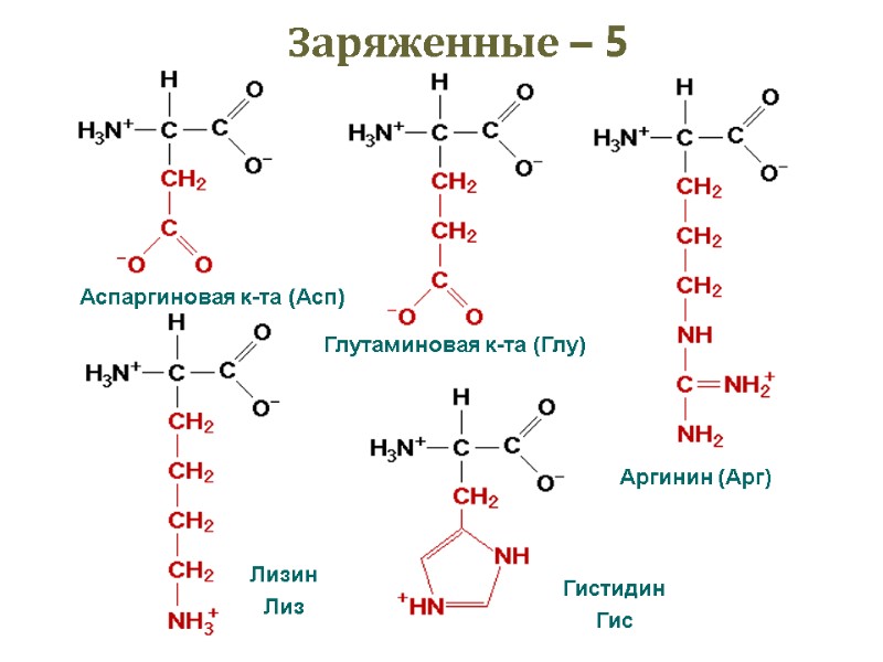 Заряженные – 5